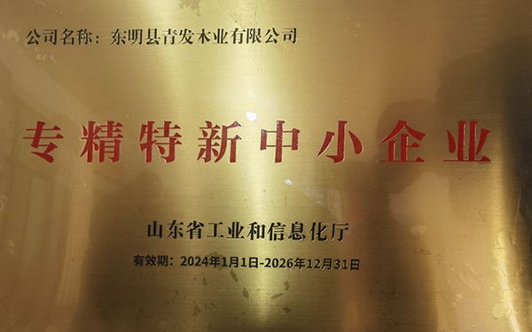 專精特新中小企業(yè)